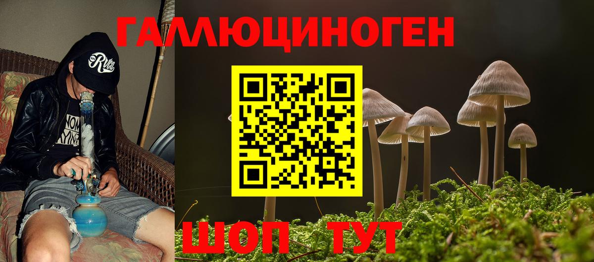 Галлюциногенные грибы Cubensis Красноуфимск